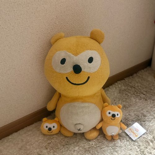 初めてグッズ買ったらしいー\( ˆoˆ )/
可愛いぽんたんのまぼろし〜！🫶🏻
やどらんように気をつける！o(^.^)oﾌﾝｽ