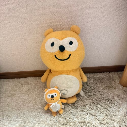 ちびぽんにまちゃひん(姉)がバブーシュカを編んでくれたみたいやに\( ˆoˆ )/
あれ、ぽんたんの分は？😭😭