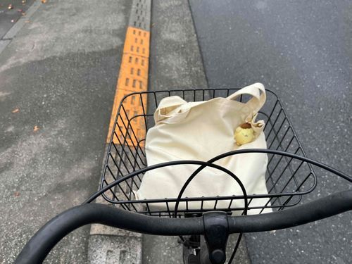 ..
むちりぷりんくんです