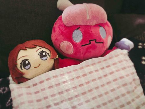 さきぬいちゃとカヌチャンが夜ふかししたいと言っていたのに すぐ寝てしまいました。おやすみなさい
