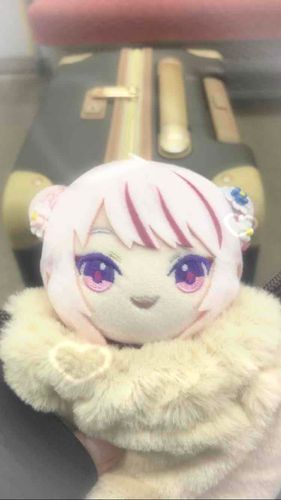ゆきふっててさむいけど､ヒナにあいに じっかにかえるよ！