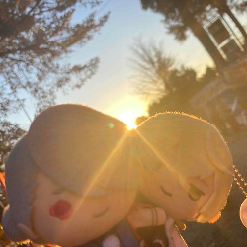 はつひので☀️