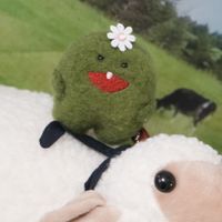 さぼてん