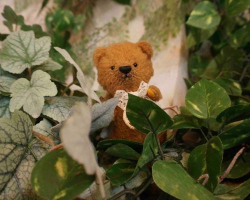 もりのくまさん🌳