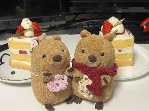 もなかがマフラーくれた🧣
あったかくてうれしい！ケーキもたべて
げんきいっぱいになった〜🍰❣️