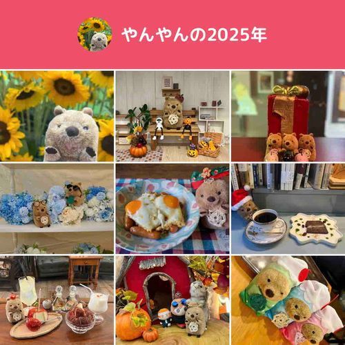 2025年のやんやん！
らい年ものんびり すごす🌟
おいしいものも たべたいな💭✨
