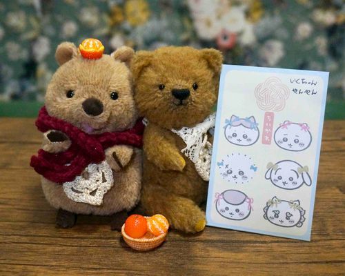 なんと、かいぬしのママさんから
二匹にとお年玉をもらいましたよ🌟
新しいおしゃれアイテムが欲しいです