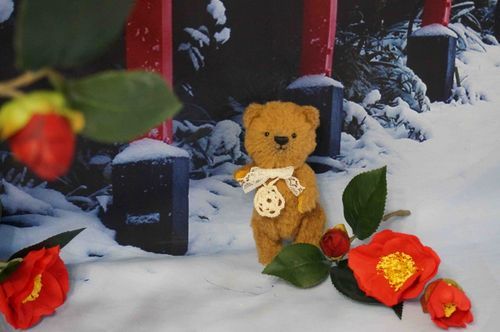 寒い日が続きますね❄️
あったかくして過ごさねば…