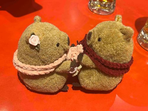 もなかとあそんだ！
手のひらタッチは あいさつのきほん！
またおでかけしたいな〜🎶