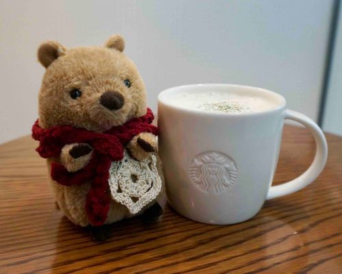 スタバのスープチーノ🍄‍🟫
ワンコインで あったまるしあわせ
やんやんも ほっこりにっこり