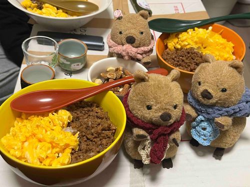 みんなであつまって たのしかった！
にしょくどんぶり つくってもらった🍚
おいしくて おかわりしちゃった✨