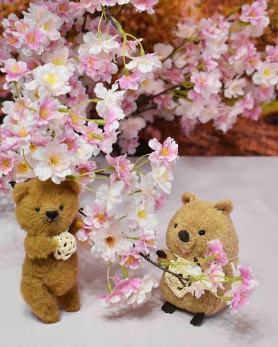 やんやんと桜でぱしゃり🌸
造花なので触れての撮影ができました
今年もお花見できず 来年こそ