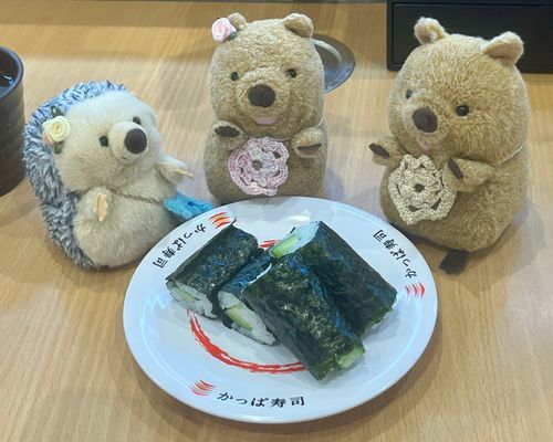 かっぱほかく大さくせん！
…こんかいはみつからなかった🥒
またリベンジするぞ〜！！