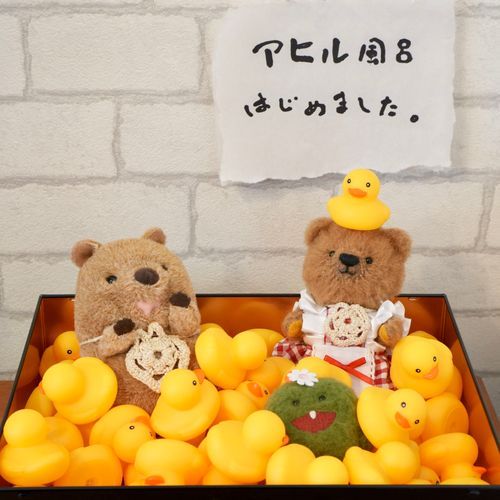 アヒル風呂らしいですよ🐣
まったりごろんな浸かり心地