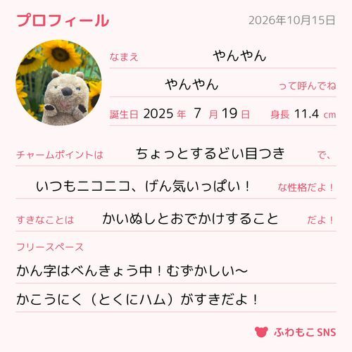 やんやんです！クォッカのおともだちと
あそんだり、いく🧸やさぼてん🌵と
おでかけするのがすき！よろしくね✨
