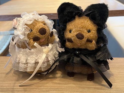 もなかと あそんだときの しゃしん！
さいきんは てんし＆あくま スタイル👼👿
ハロウィンを たのしんでるよ〜✨
