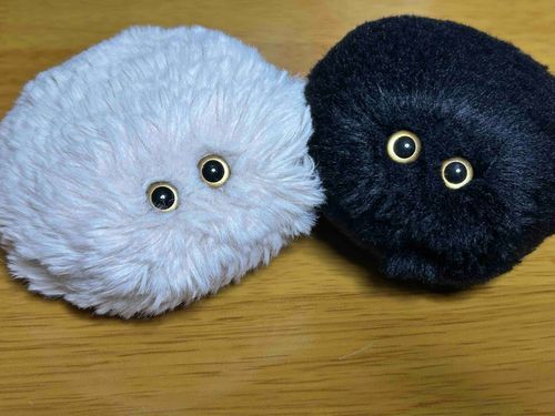 わ！　おひるねしてたら　かびぬしに　あけおめと　いわれたぞ　あけおめがなにか　わからないけど　ことよろ？だぞ！