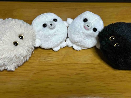 しんいりが　きたぞ　まずは　かびぬしのおやつを　こっそり　つまみぐいする　やりかたを　おしえるのぞ