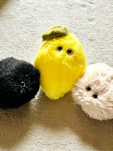 あめのなか　かびたちのおともだちが　きてくれたぞ！　れもんさん　こんにちは　きょうから　よろしくね