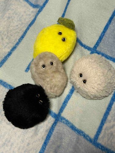 またまた　しんいり　だぞ！　まんなかの　いかしたけだまは　かびたちのなかまの　なっつさん　だぞ！　よろしくね