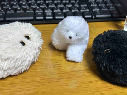 トコトコが　とことこあるいて　きたぞ　とおいとこから　よくきたな　きょうから　よろしくね