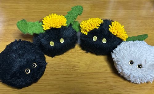 ふわふわたんぽぽさん　わさわさでふかふかだから　かびたちの　なかまかな？