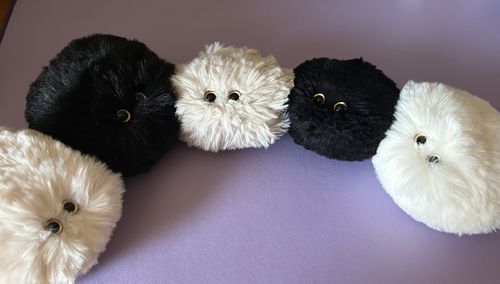 わーい！なかまが　いっぱい　きたぞ　おいらたち　かびぬしに　なでられすぎて　ぺたぺた　だぞ
