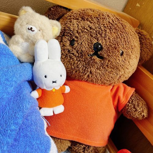 いえから出ない(・ⅹ・）