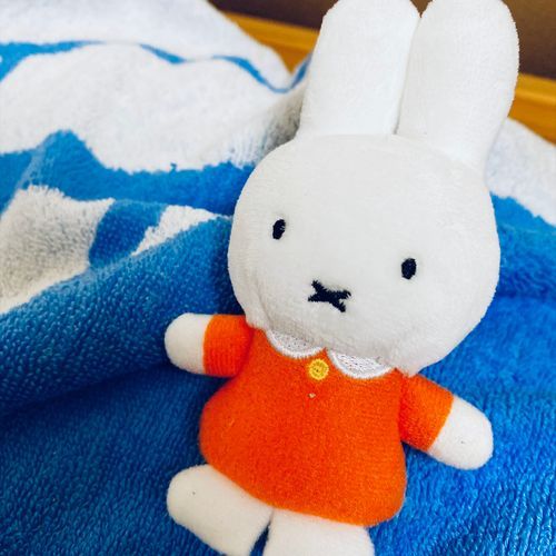 きょうもなにもしたくない(・×・)