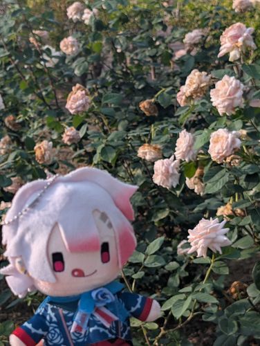 「本日もお疲れ様でしたっす。」