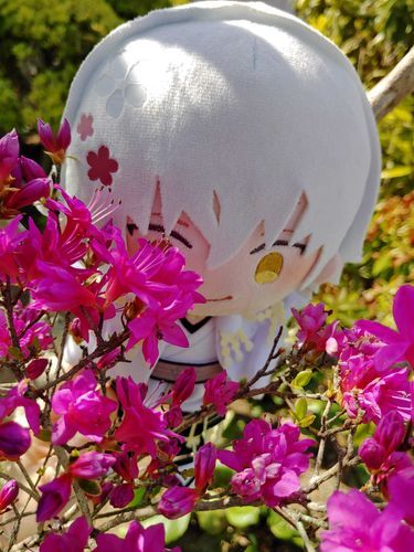 「明日はどんな驚きが待っているんだ？」