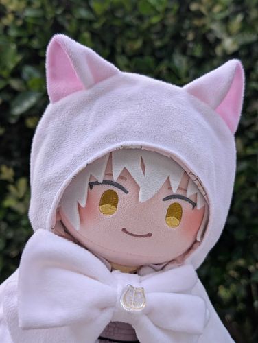 「休日なのに早起きだな。散歩にでも行くかい？」