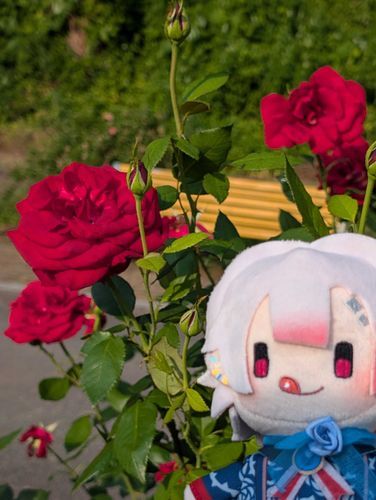 「今日はどんな一日だったっすか？」