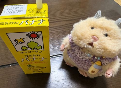 とうにゅう・ばなな🍌