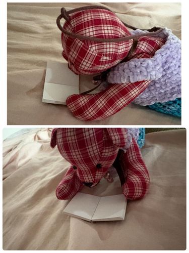 こんにちはですぞ。今は、本を読んでますが、むむ？これは、何も書いていないですな。