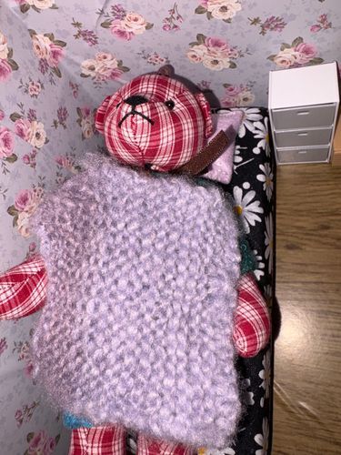 今から昼寝することにしますぞ。🛏️