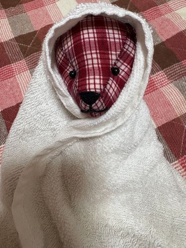 タオルにくるまってみますと、
落ち着きますな。😆