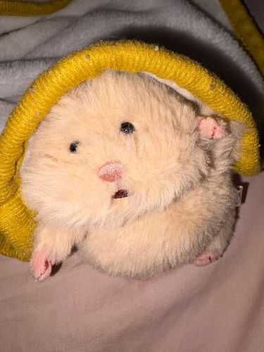 チラッ👀