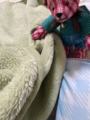 主さんの布団へおじゃましますぞ。