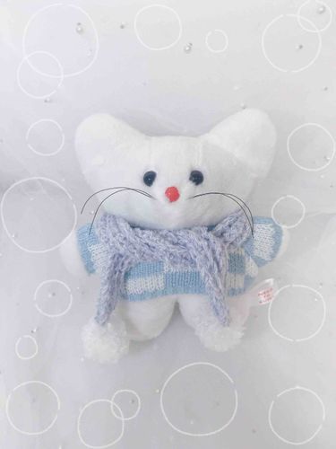 猫のイベントで猫用のマフラー買ったんだけどぬい用にしちゃったよ〜〜！モチ、あったかくて喜んでるみたい。セーターもちょっとピチピチだけどあたたかだね。