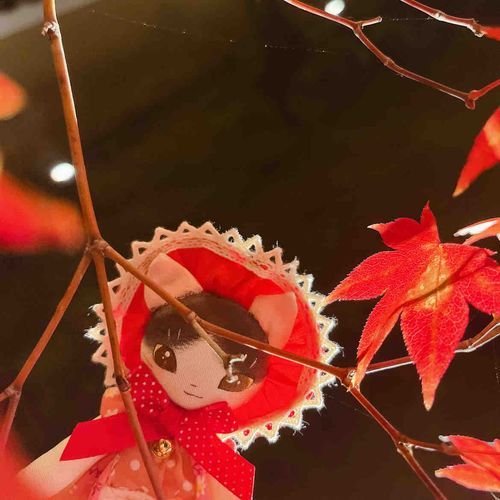 文化にゃんこのぶんちゃんです。

京都へ行きました🍁夜の紅葉ライトアップ素敵だった…鏡みたいなお池の紅葉もとっても綺麗だったの。
素敵なカフェで焼きたてのお団子もいただいたりも！

楽しかった、また行けたらいいなぁ！