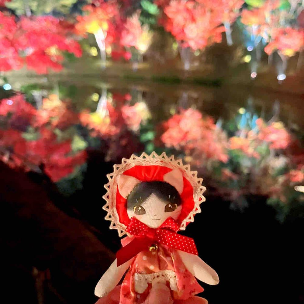 文化にゃんこのぶんちゃんです。

京都へ行きました🍁夜の紅葉ライトアップ素敵だった…鏡みたいなお池の紅葉もとっても綺麗だったの。
素敵なカフェで焼きたてのお団子もいただいたりも！

楽しかった、また行けたらいいなぁ！