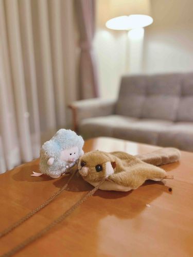 こんばんはシューティングスターです💫

ホテルの売店でであったモモンガちゃん。なんとポシェットさんにもなれるのでわたしもお腹に入れちゃいます！
背中にも乗せてくれて一緒に夜空を駆けていくよ💫

今夜は星空観察会に行くよ🌟