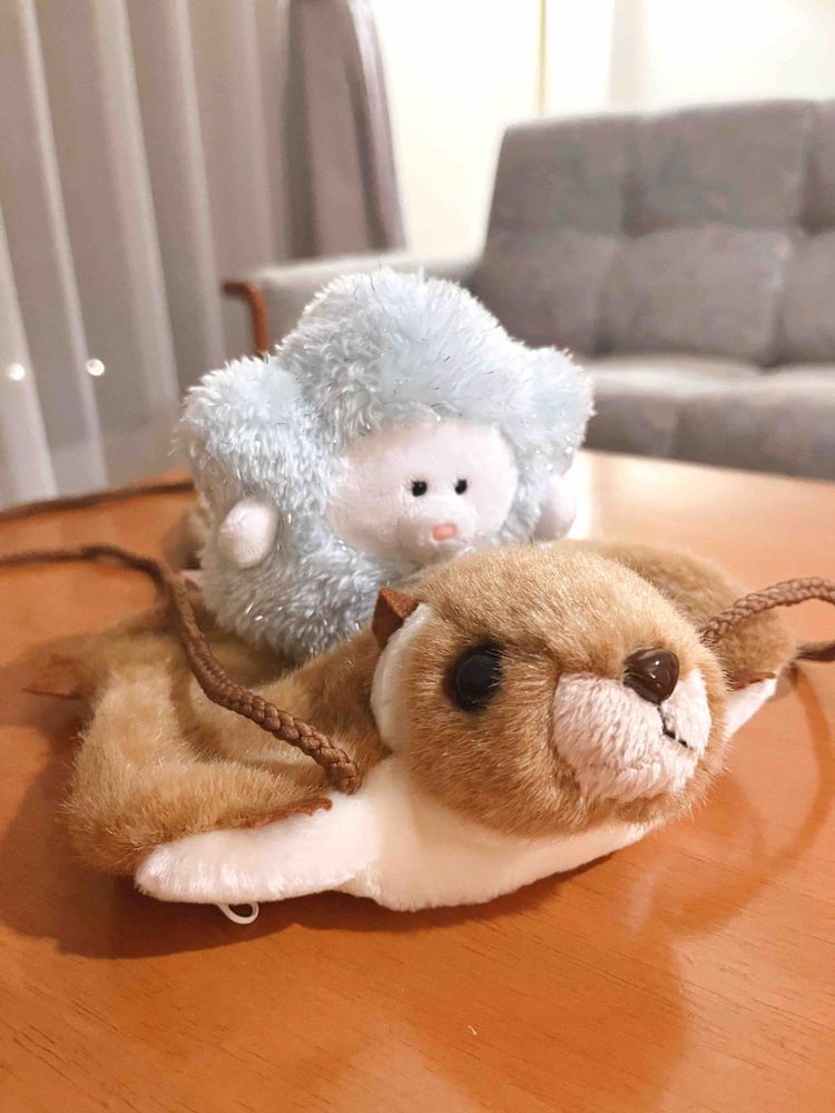 こんばんはシューティングスターです💫

ホテルの売店でであったモモンガちゃん。なんとポシェットさんにもなれるのでわたしもお腹に入れちゃいます！
背中にも乗せてくれて一緒に夜空を駆けていくよ💫

今夜は星空観察会に行くよ🌟