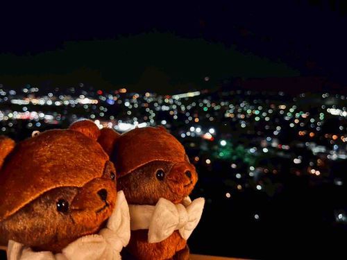 たぬズ、秩父の夜の夜景を見たよ˖˚✩⊹

おめめがうるうる、感動しちゃったぬぅ。
