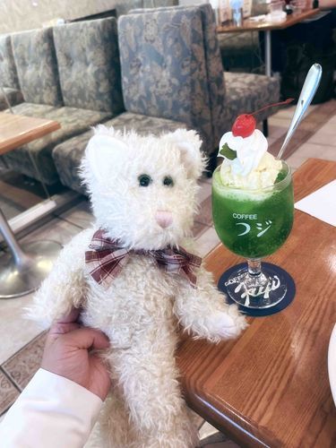 骨董市で出会った子。

くたくたの猫ぬいちゃん。おめめが近くてなんだかおとぼけ顔なんだけど、愛おしくて素敵な子✨
グリーンのおめめもいいね。これからよろしくね！