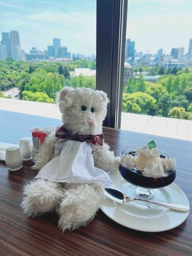 景色の良いところでコーヒーゼリーをいただいたよ✨緑が気持ちいい季節到来かな？