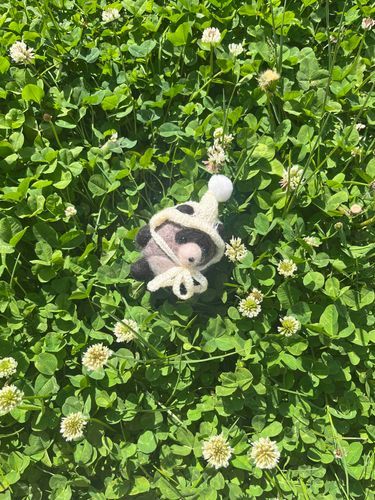 新緑の季節🍃