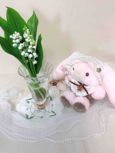 今日は5月1日すずらんの日𓍯*̩̩͙⸝⋆
お友達のぴーしゃんが教えてくれたよ。

おーなーの旦那さんがすずらんをプレゼントしてくれたんだ！嬉しかったからシャンテちゃんとお写真撮ったよ〜！