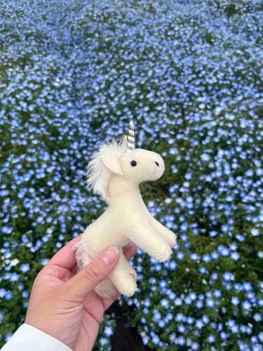 昨日はネモフィラ畑を見てきたよ！
ネモフィラって綺麗なお花だよね、大好きなんだ〜〜！